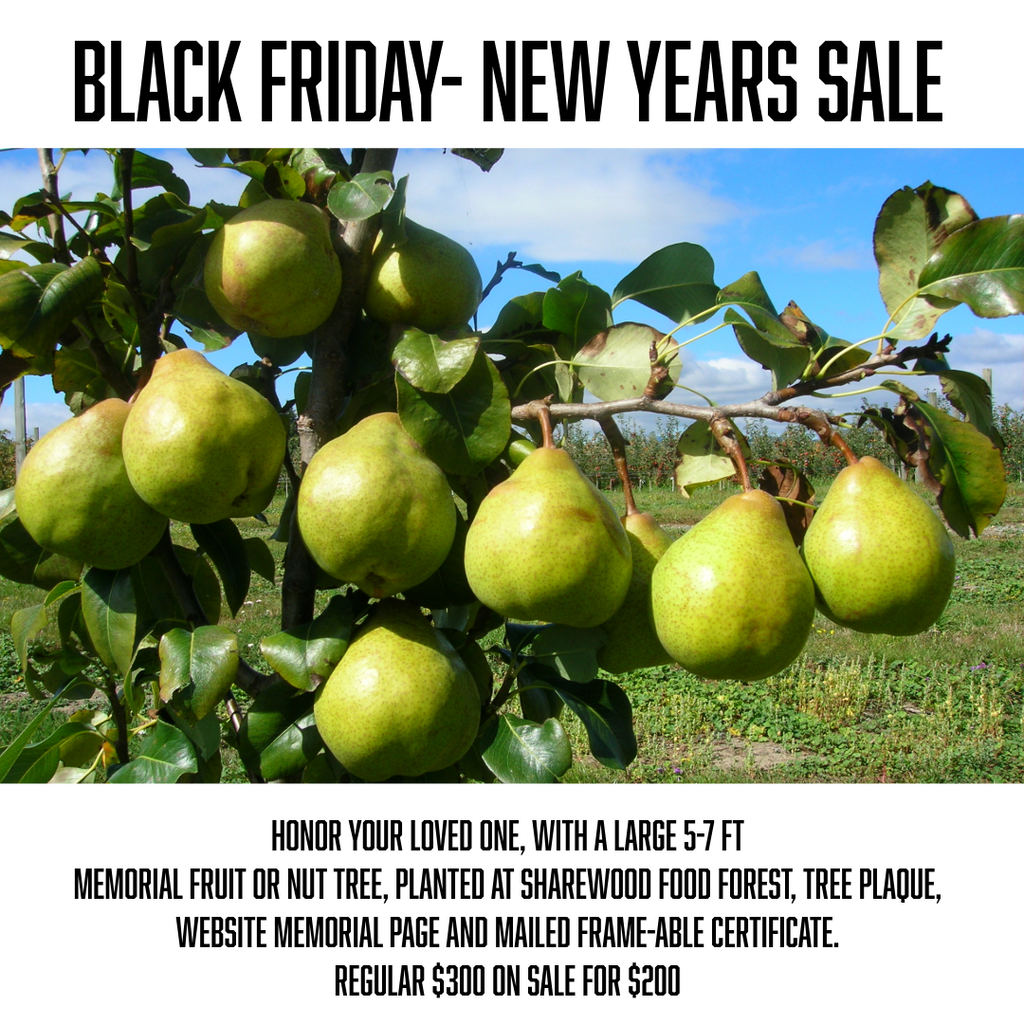 A Memorial Fruit or Nut Tree