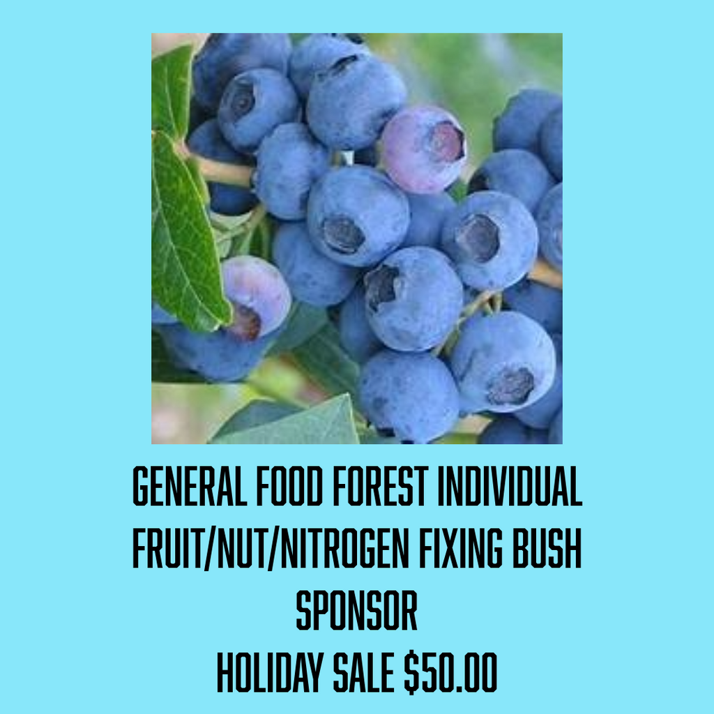 A Food Forest General Bush Sponsor