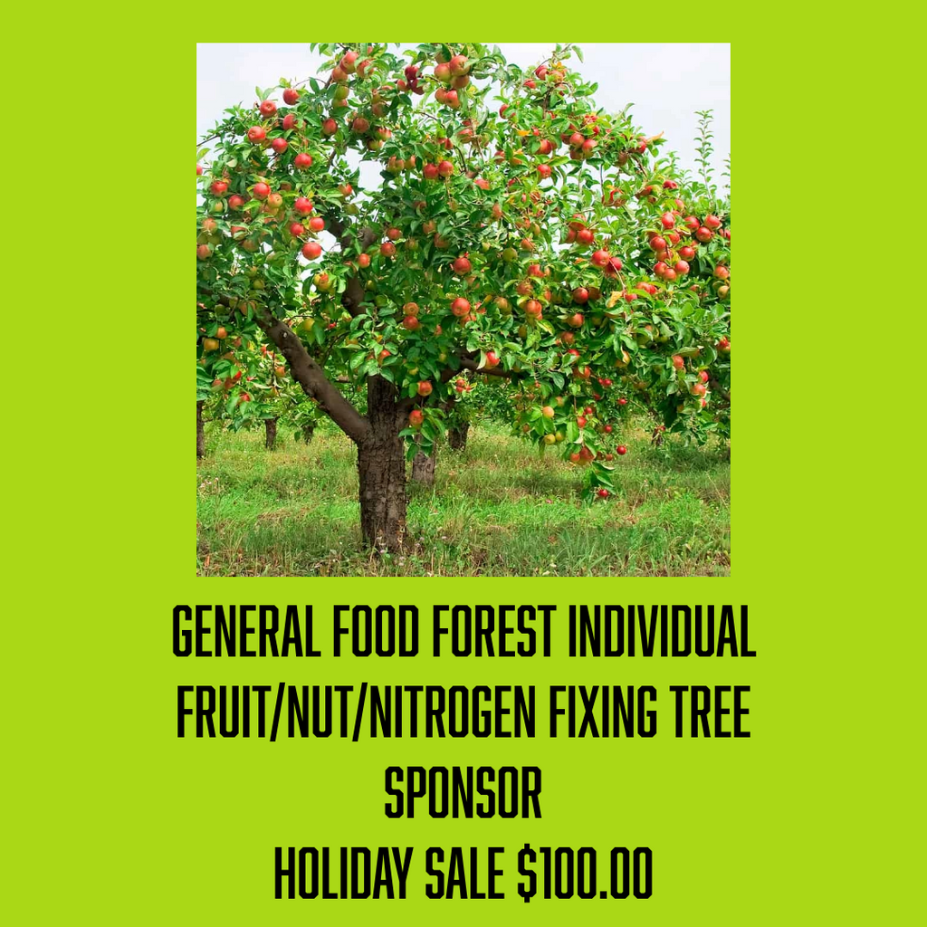 A Food Forest General Tree Sponsor